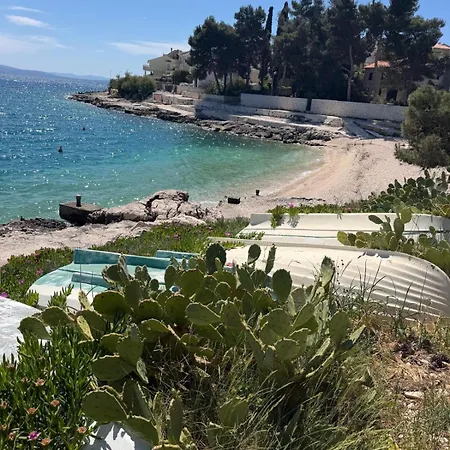 Paradise A&i